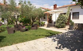 Wine Garden Holiday Home